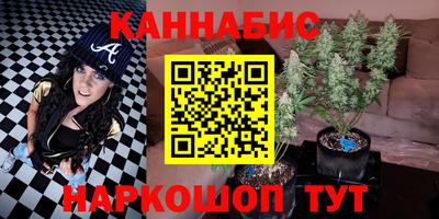 индика Янаул