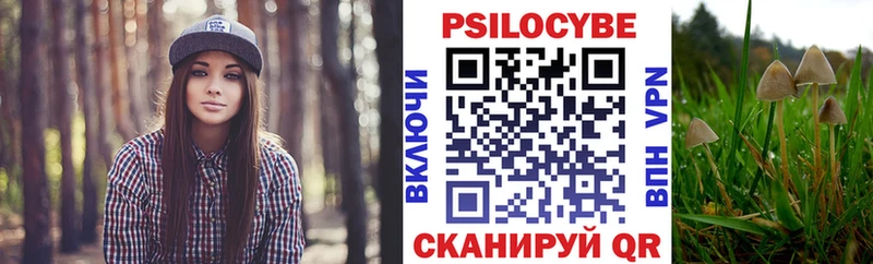 Галлюциногенные грибы GOLDEN TEACHER Североуральск