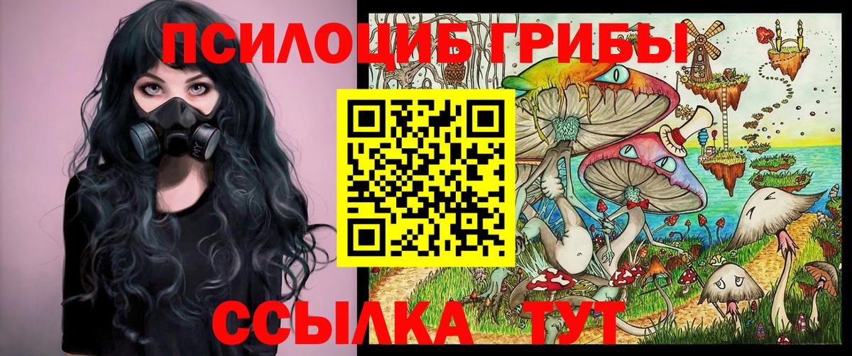 Галлюциногенные грибы Psilocybe  Вход с VPN  Псилоцибиновые грибы Psilocybine cubensis  закладка  Североуральск 